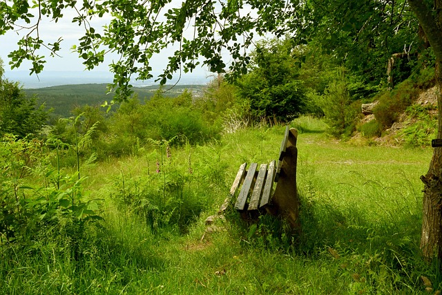 同反映了俱 同反映了俱