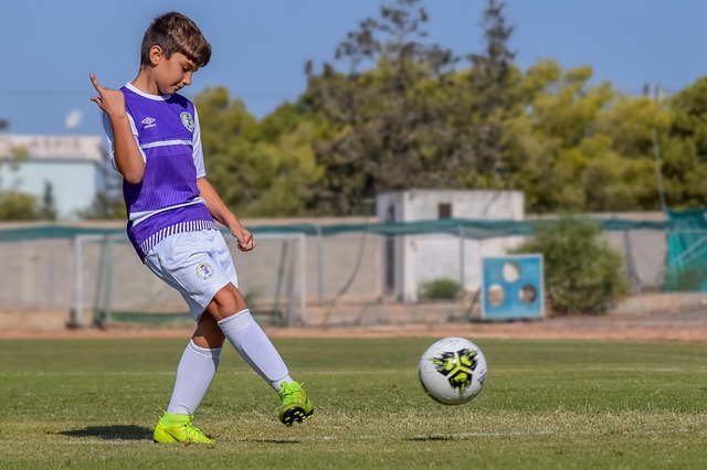 籍教練和球 籍教練和球