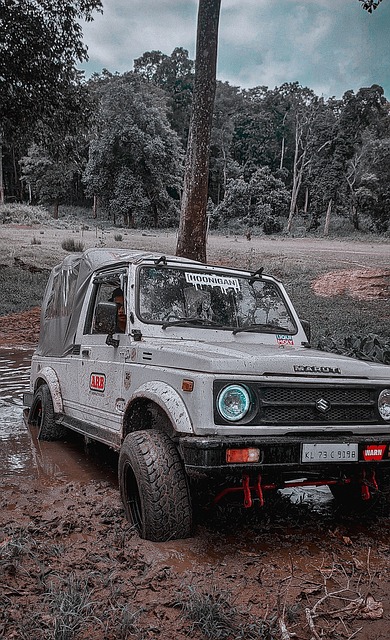 五防四的戰 五防四的戰