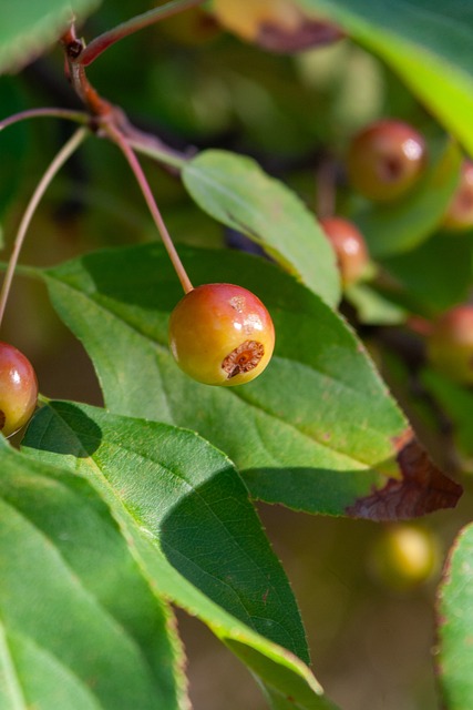不仅因为比 不仅因为比