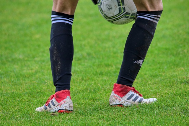 作为各地政 作为各地政