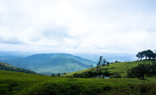 稳了⁉️利物浦最新英超夺冠概率高达96.7%，阿森纳3.3% 曼城归0.