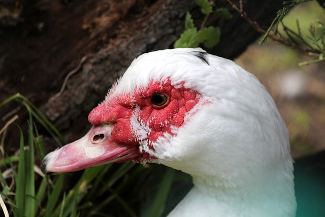 保持心态平 保持心态平