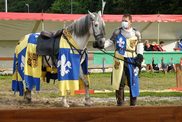 的体能储备 的体能储备